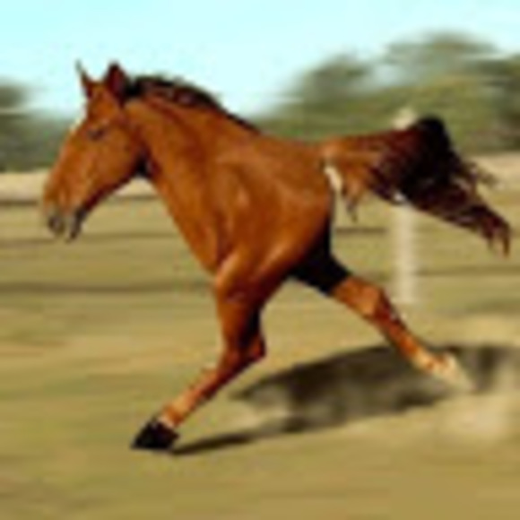 thepygmypony